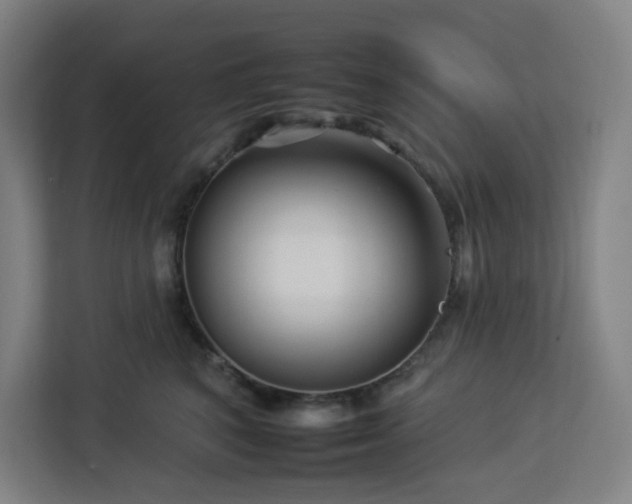 X0000112930616200908311319