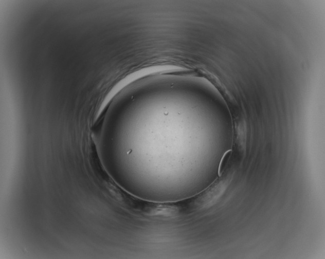 X0000112930617200908311319