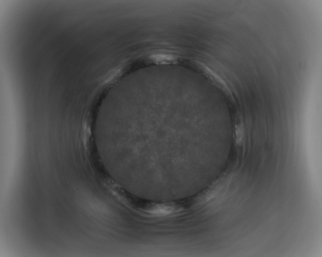 X0000112930618200908311319