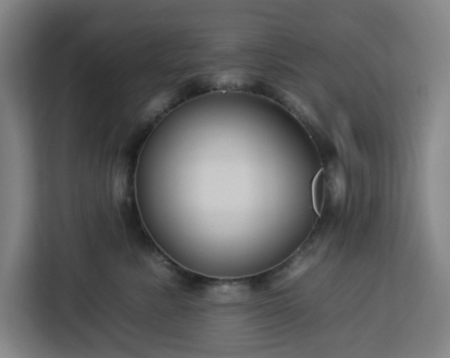 X0000112930619200908311319