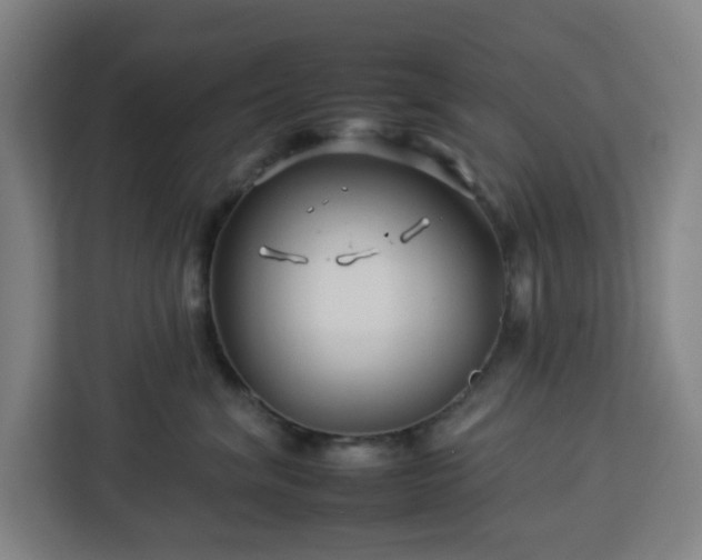 X0000112930620200908311319