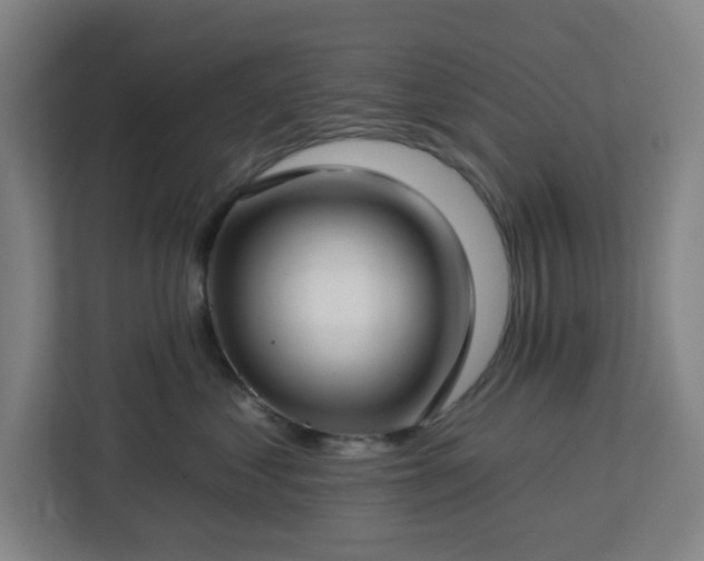 X0000112930621200908311319