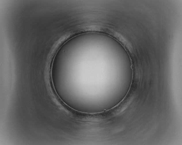 X0000112930625200908311318