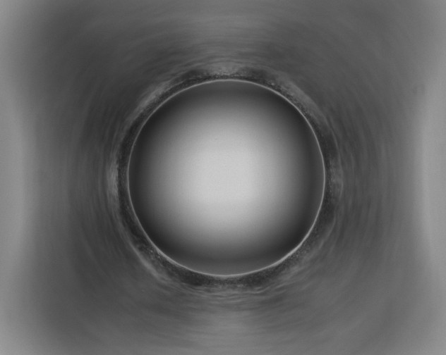 X0000112930626200908311318