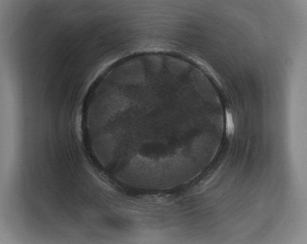 X0000112930627200908311318