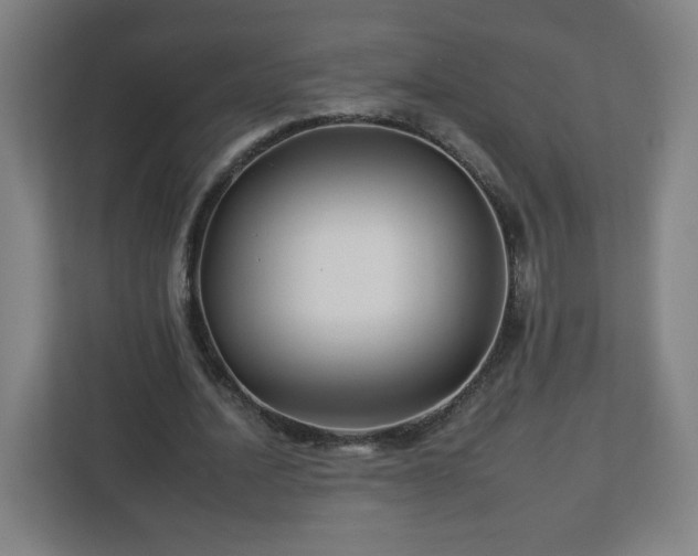 X0000112930628200908311318