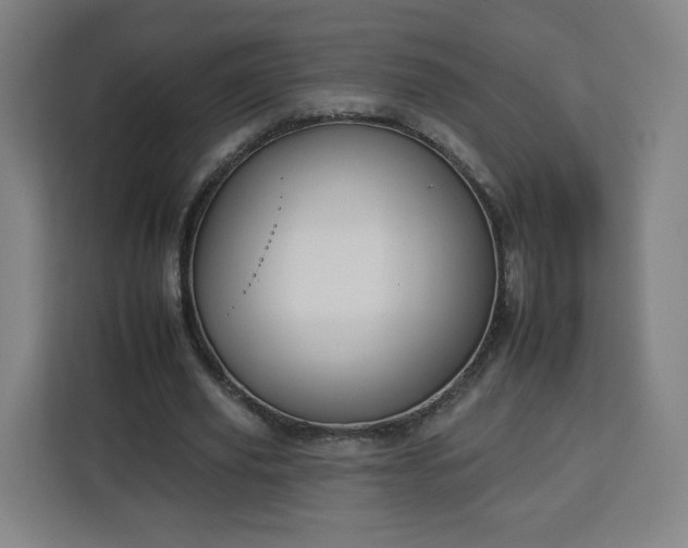 X0000112930629200908311318