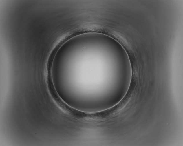 X0000112930630200908311318