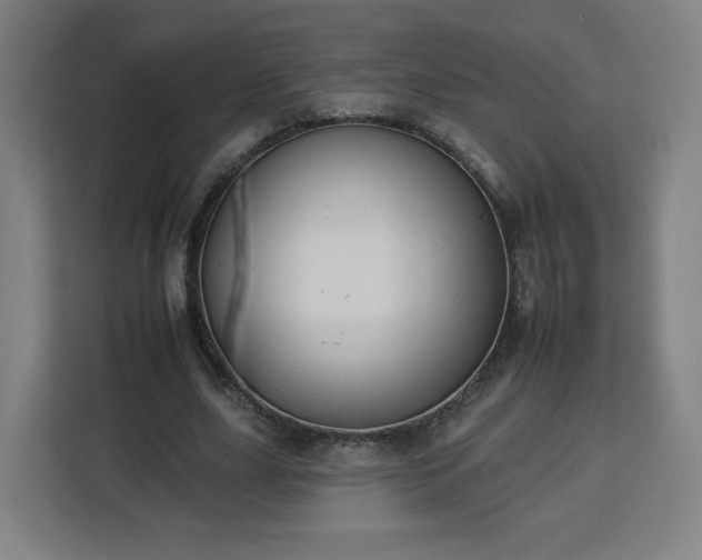 X0000112930631200908311318