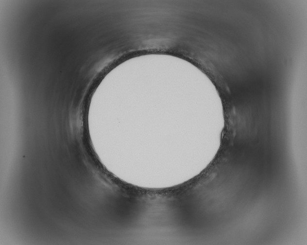 X0000112930632200908311318