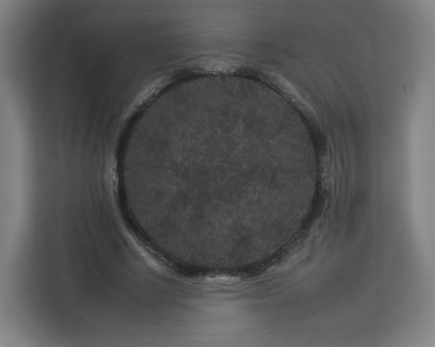 X0000112930634200908311318