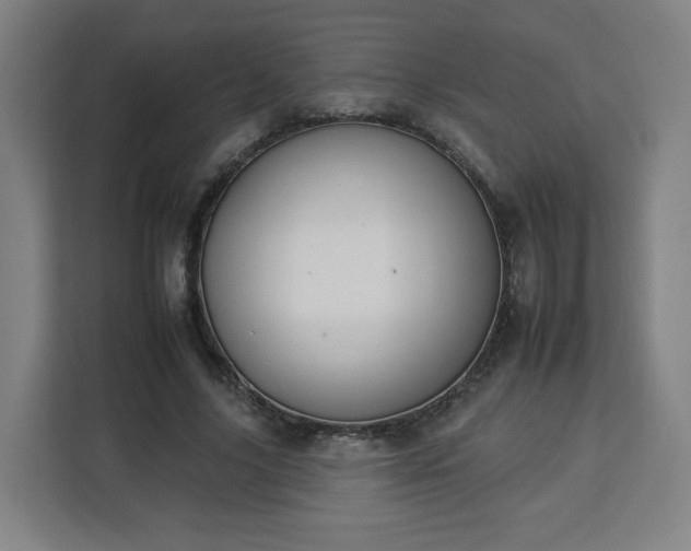 X0000112930635200908311318