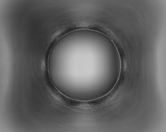 X0000112930636200908311318