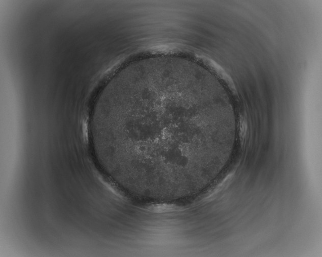 X0000112930637200908311318