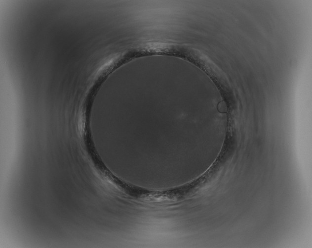 X0000112930640200908311318