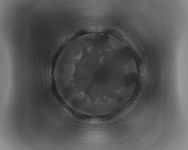 X0000112930641200908311318