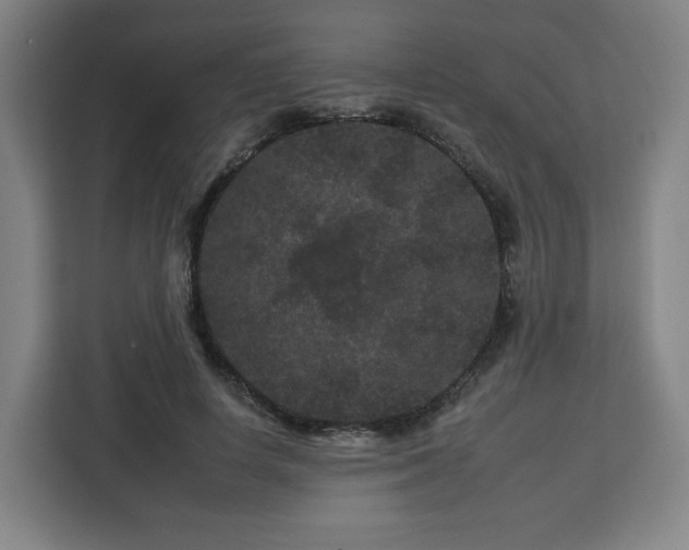 X0000112930642200908311318