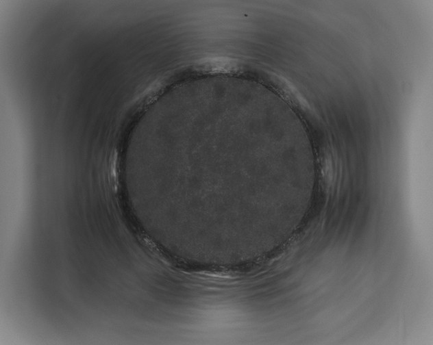 X0000112930643200908311318