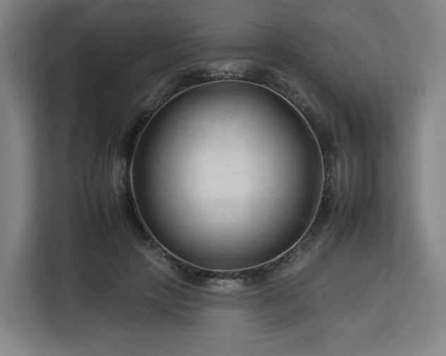 X0000112930649200908311318