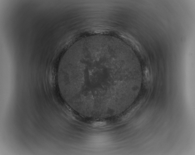 X0000112930653200908311318