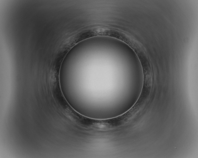 X0000112930654200908311318