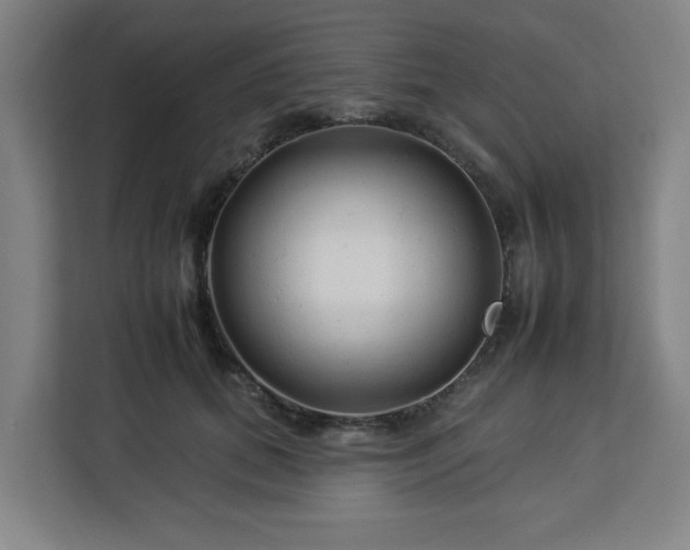 X0000112930655200908311318