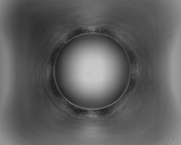 X0000112930656200908311318