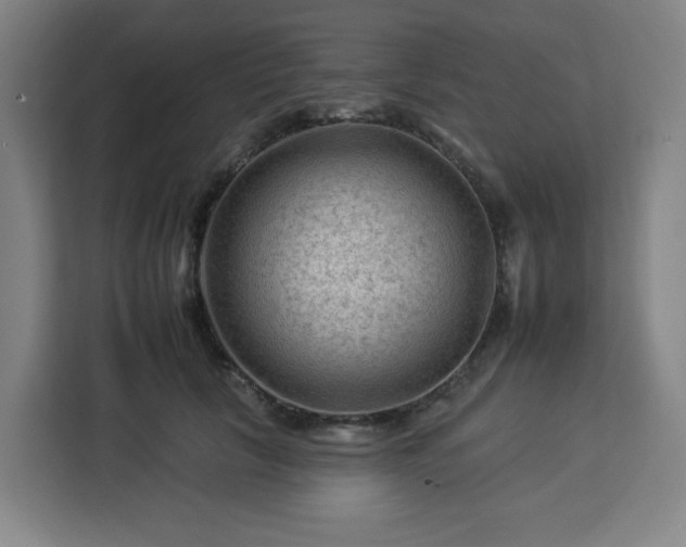 X0000112930657200908311318