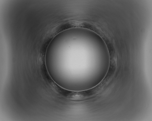 X0000112930658200908311318