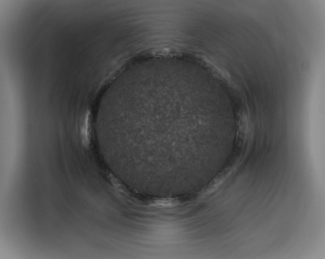 X0000112930659200908311318