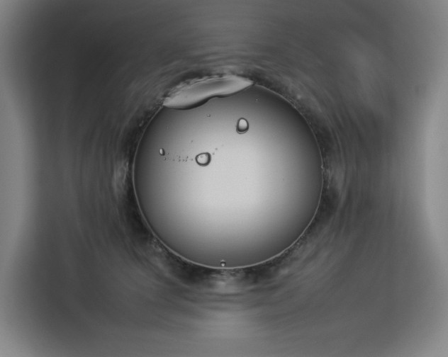 X0000112930660200908311318