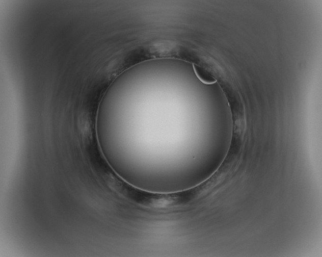 X0000112930662200908311318