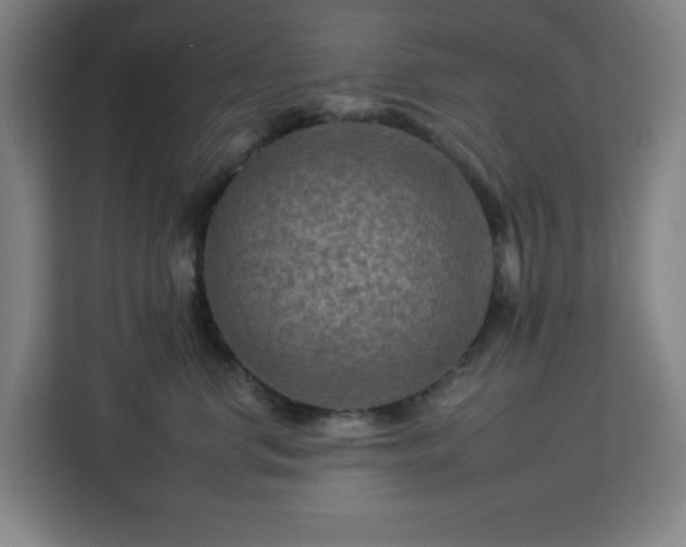 X0000112930668200908311318