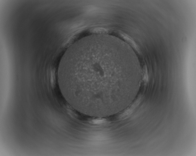 X0000112930669200908311319