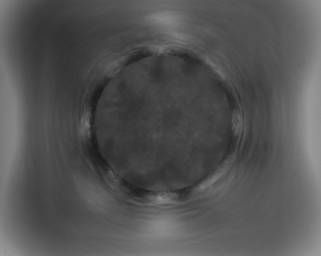 X0000112930670200908311319