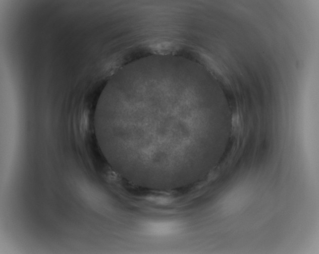 X0000112930671200908311319