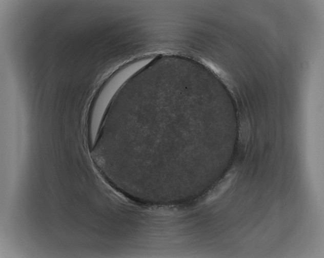 X0000112930673200908311318