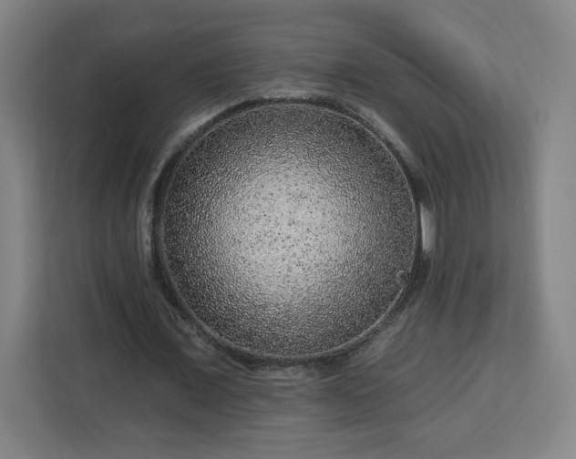 X0000112930675200908311318