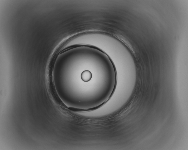 X0000112930676200908311318