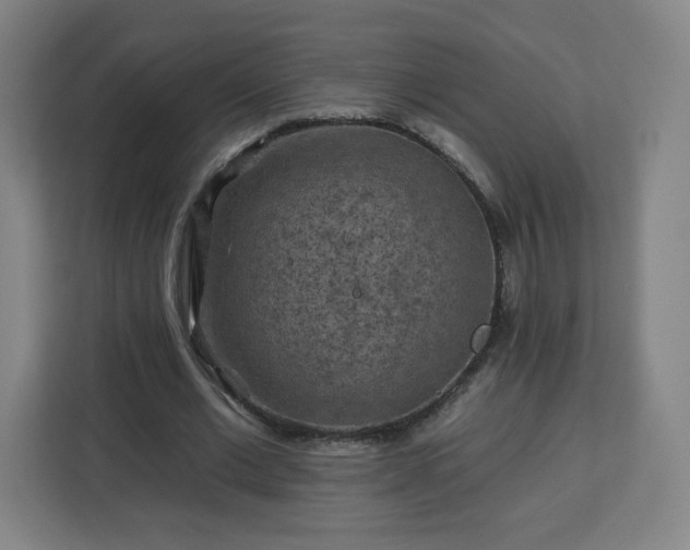 X0000112930677200908311318