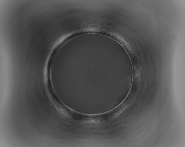 X0000112930678200908311318