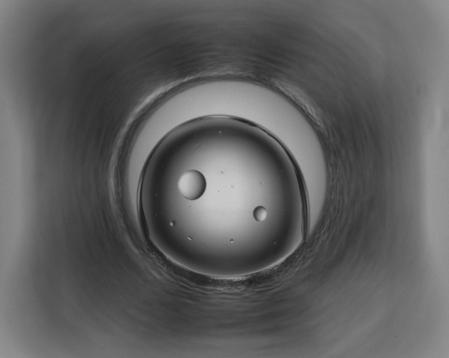 X0000112930680200908311318