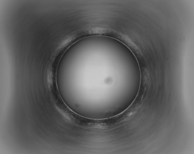 X0000112930683200908311318