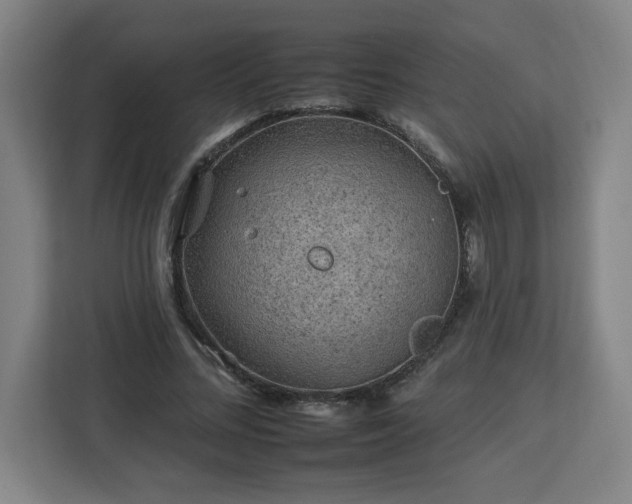 X0000112930684200908311318