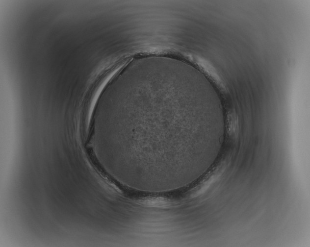 X0000112930685200908311318