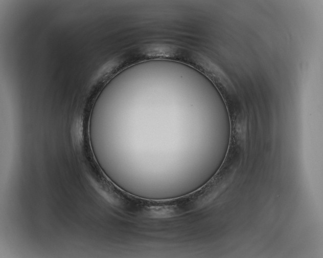 X0000112930686200908311318