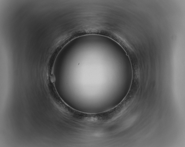 X0000112930687200908311318