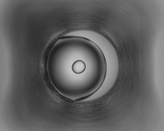 X0000112930688200908311318