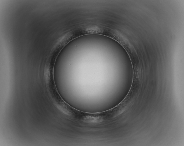 X0000112930690200908311318