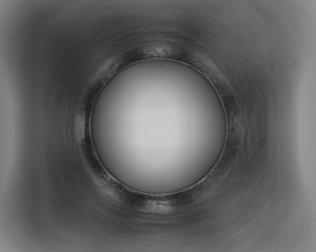 X0000112930694200908311318